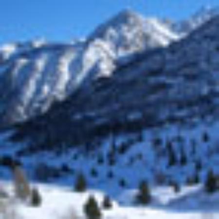 Magic's Bar and Grill